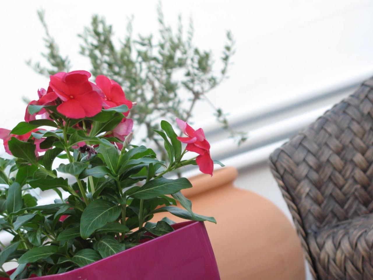 Mama Suite Lecce Zewnętrze zdjęcie